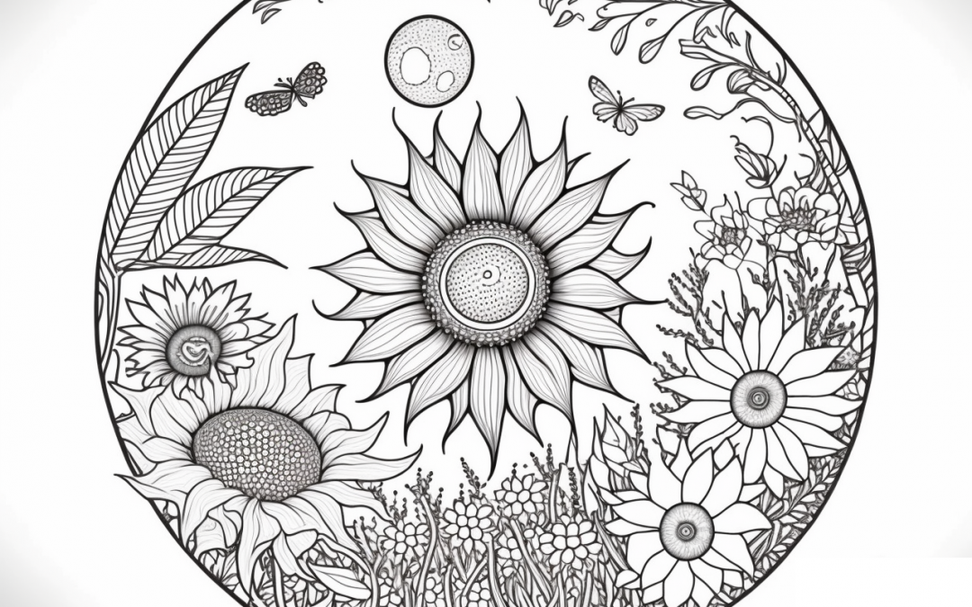 mandala 13